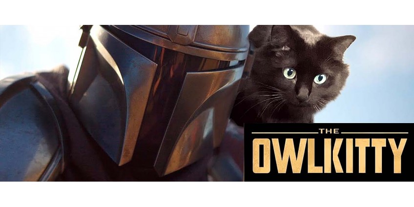 OwlKitty