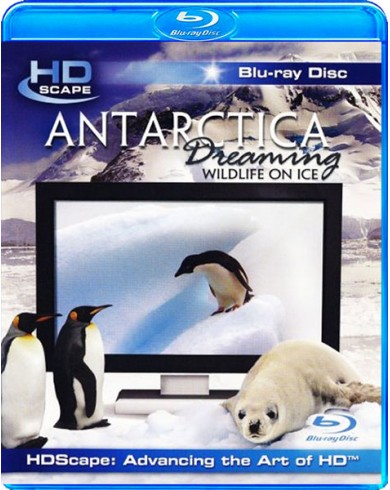 ГРЕЗЫ АНТАРКТИКИ  (Blu-ray)