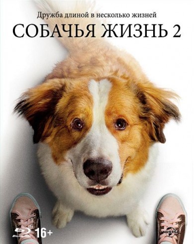 Собачья жизнь 2 (Blu-ray)
