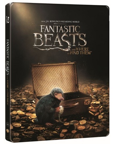Фантастические твари и где они обитают Steelbook (3D Blu-ray)